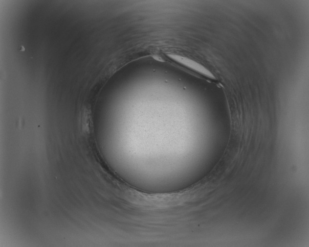 X0000073850038200608241054