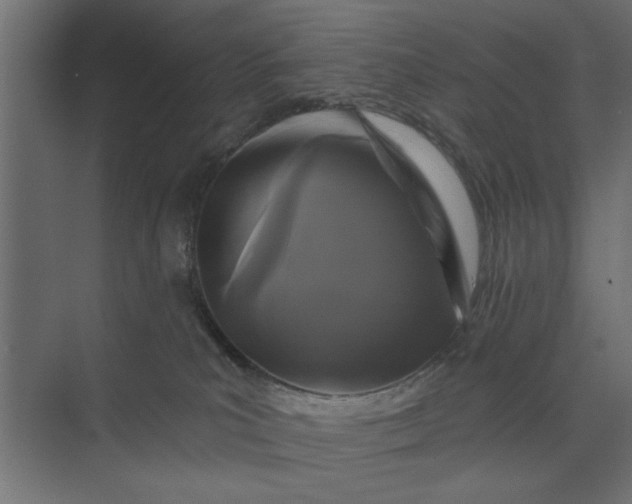 X0000073850039200608241054