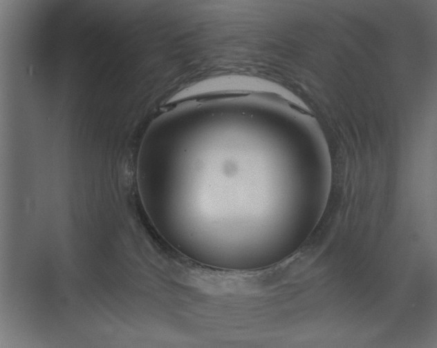 X0000073850040200608241054