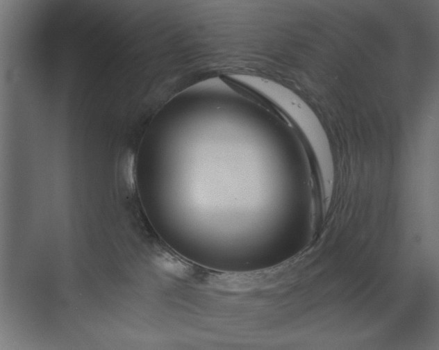 X0000073850041200608241054