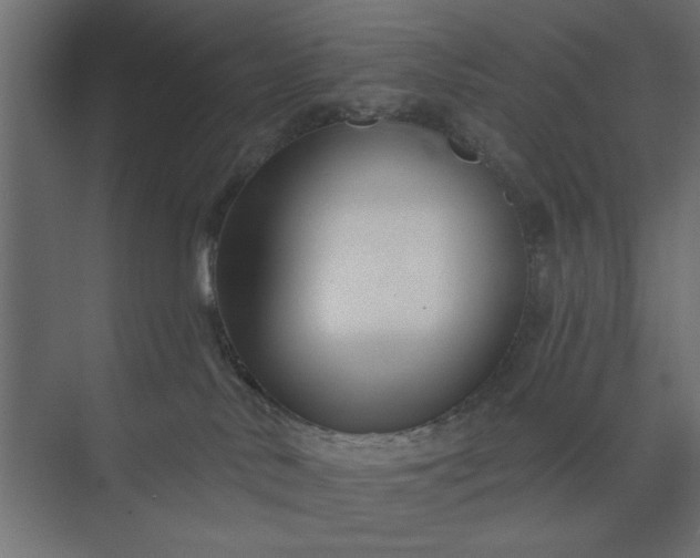 X0000073850042200608241054