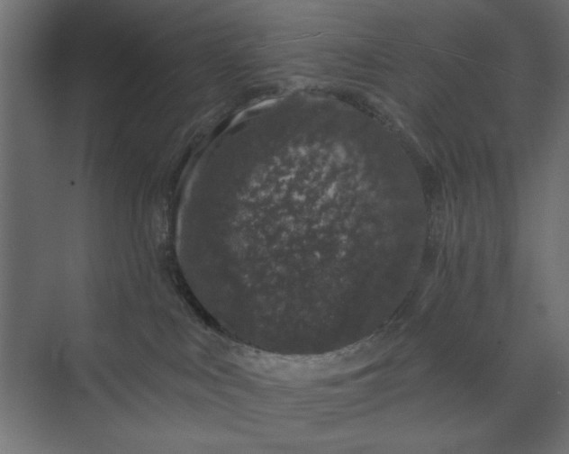 X0000073850043200608241054