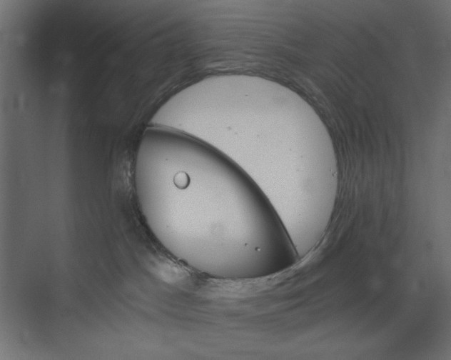 X0000073850045200608241054