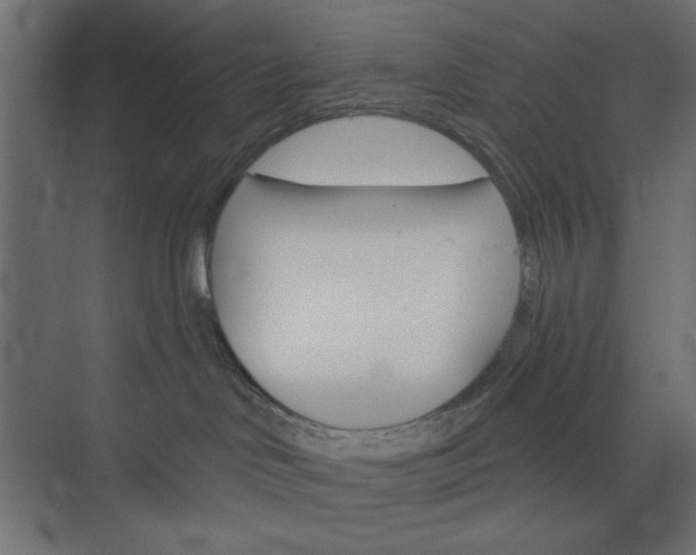 X0000073850046200608241054