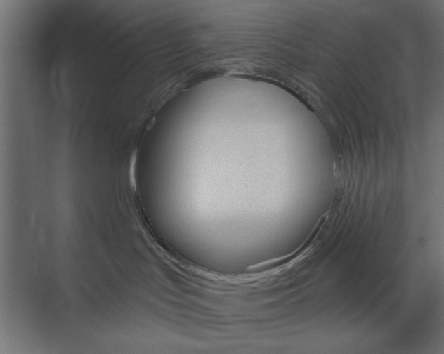 X0000073850047200608241054