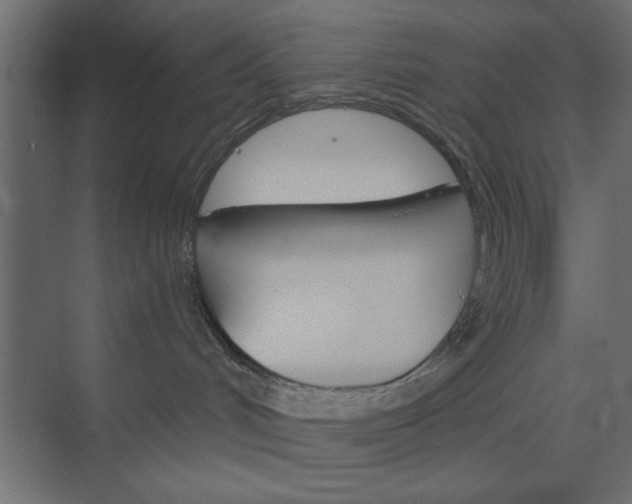 X0000073850048200608241054