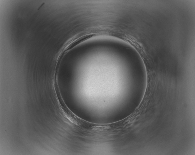 X0000073850051200608241053