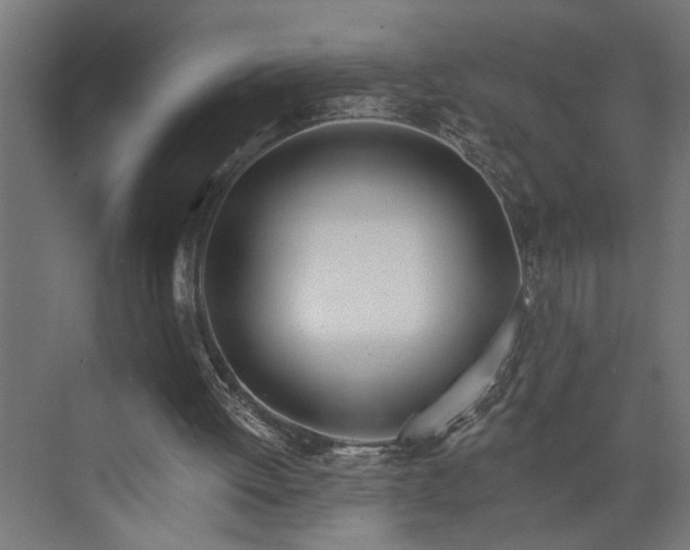 X0000073850052200608241053