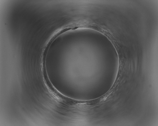 X0000073850054200608241053