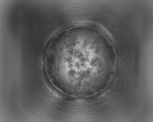 X0000073850059200608241053