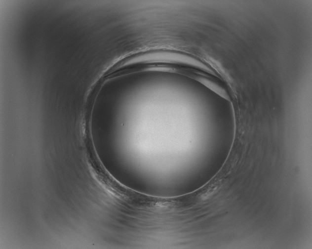 X0000073850060200608241053