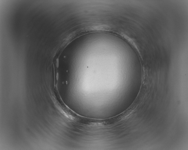 X0000073850061200608241053