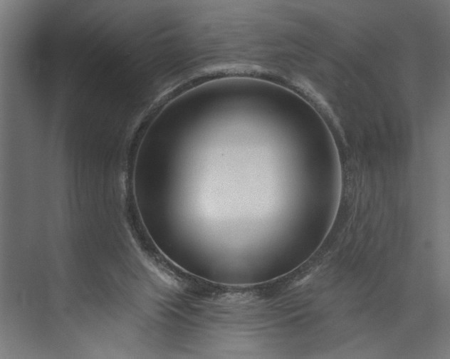 X0000073850063200608241053