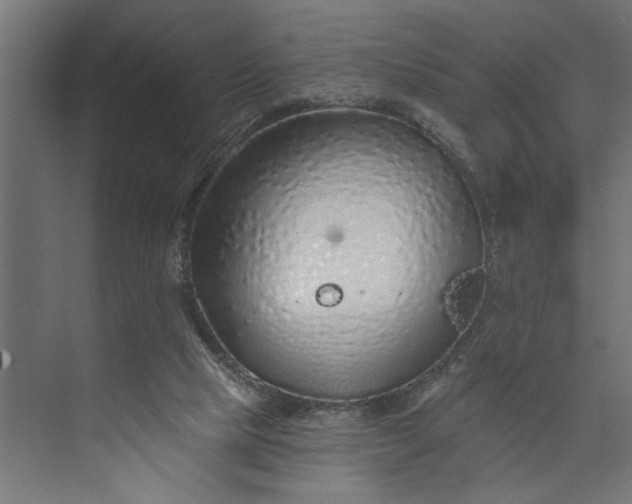 X0000073850065200608241053