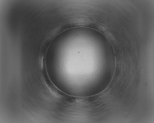 X0000073850070200608241053