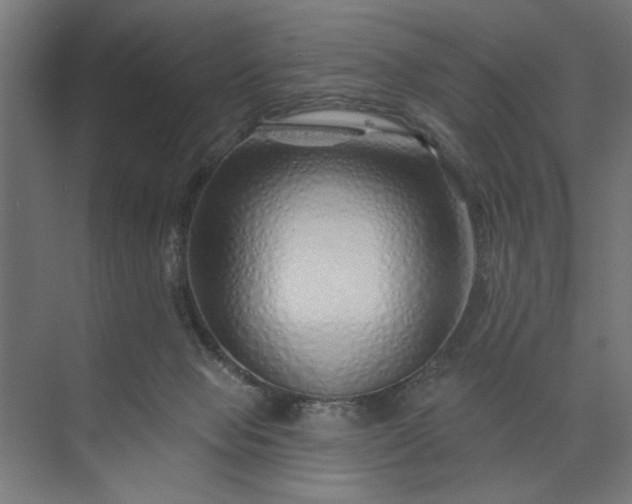 X0000073850077200608241053