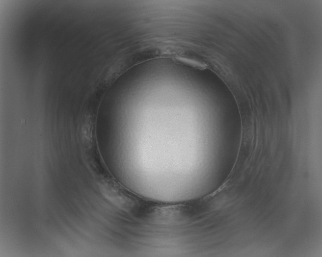 X0000073850078200608241053