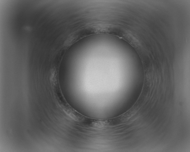 X0000073850079200608241053