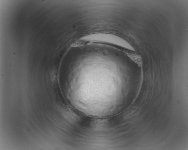 X0000073850081200608241053