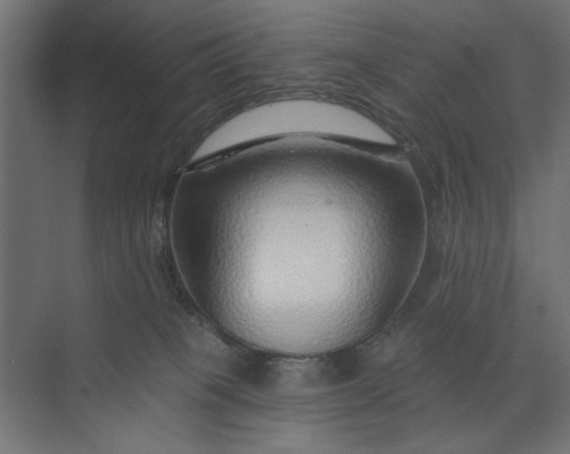 X0000073850085200608241054