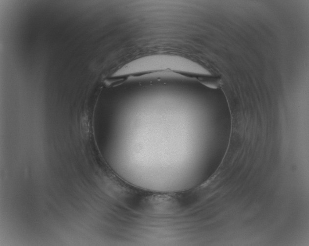 X0000073850086200608241054