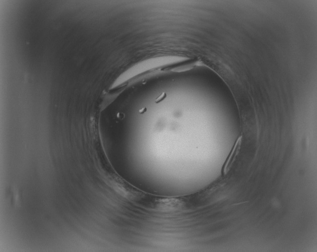 X0000073850087200608241054