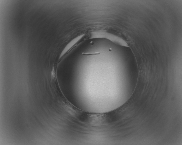 X0000073850089200608241054