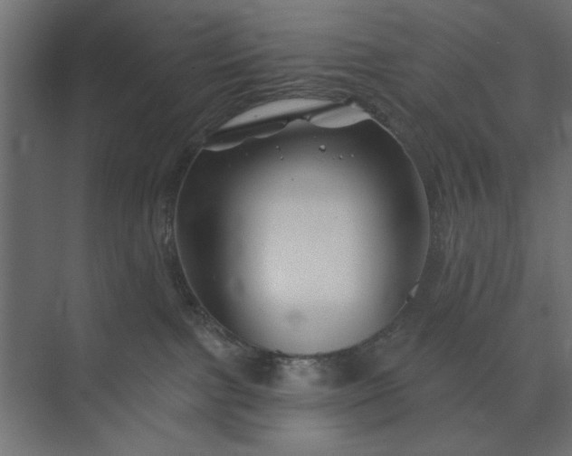 X0000073850091200608241054