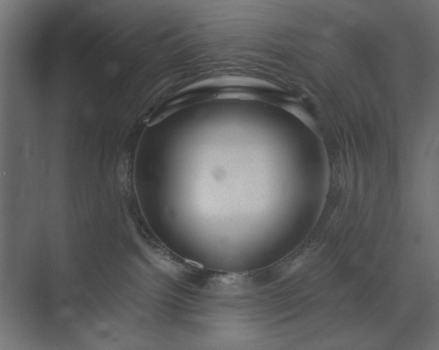 X0000073850092200608241054