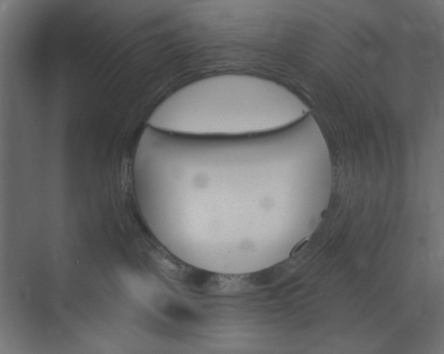 X0000073850093200608241054