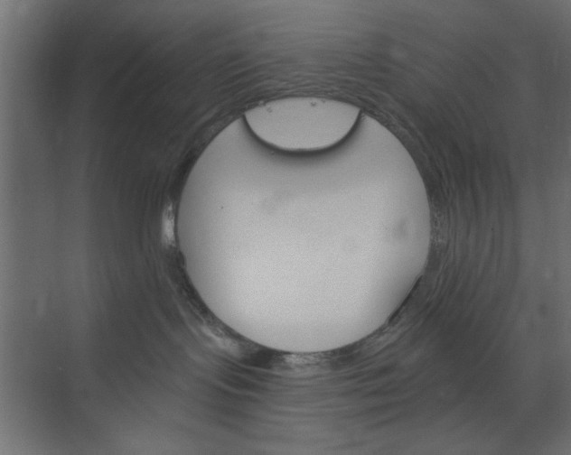 X0000073850095200608241054