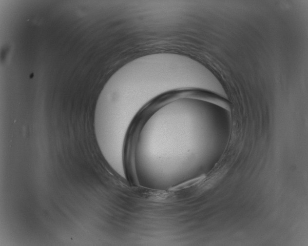 X0000073850096200608241054