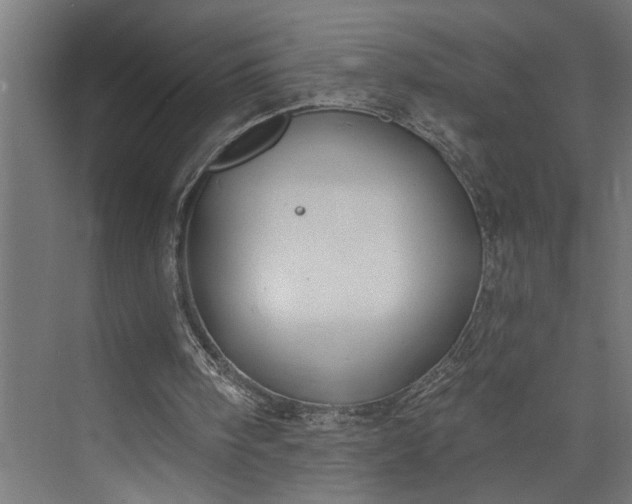 X0000073850098200608241053