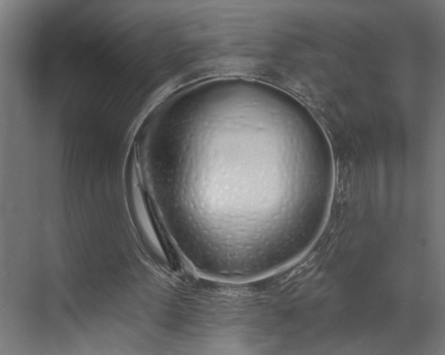 X0000073850099200608241053