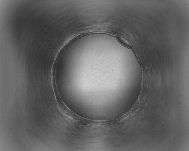 X0000073850100200608241053