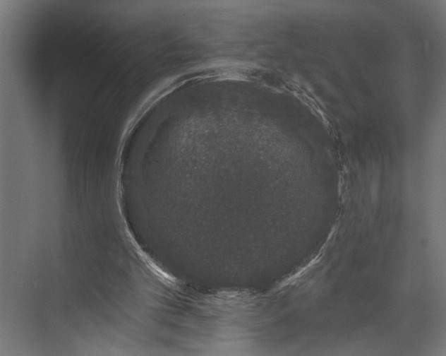 X0000073850101200608241053