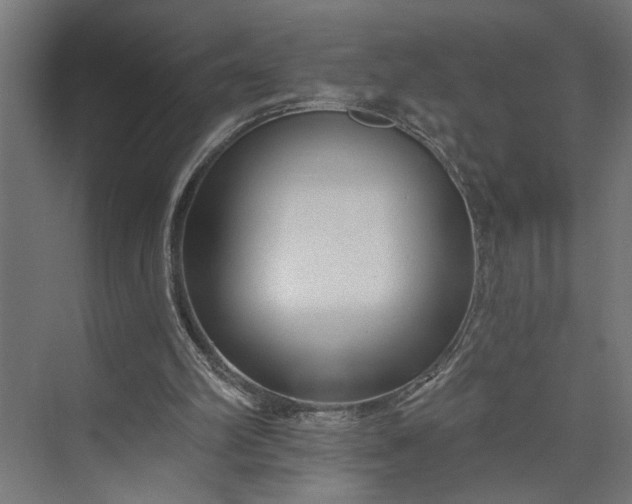 X0000073850102200608241053