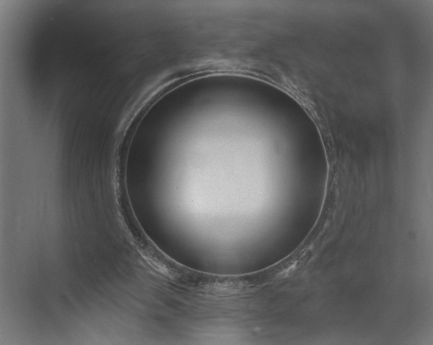 X0000073850103200608241053