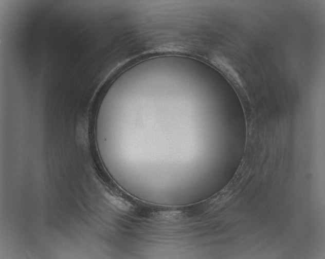 X0000073850108200608241053