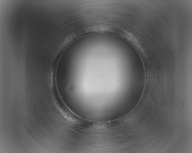 X0000073850110200608241053