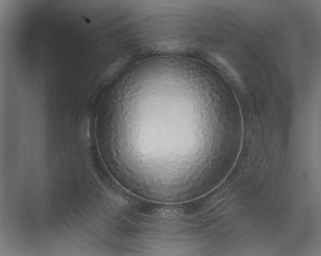 X0000073850115200608241053