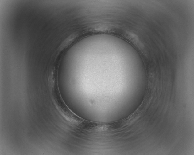 X0000073850116200608241053