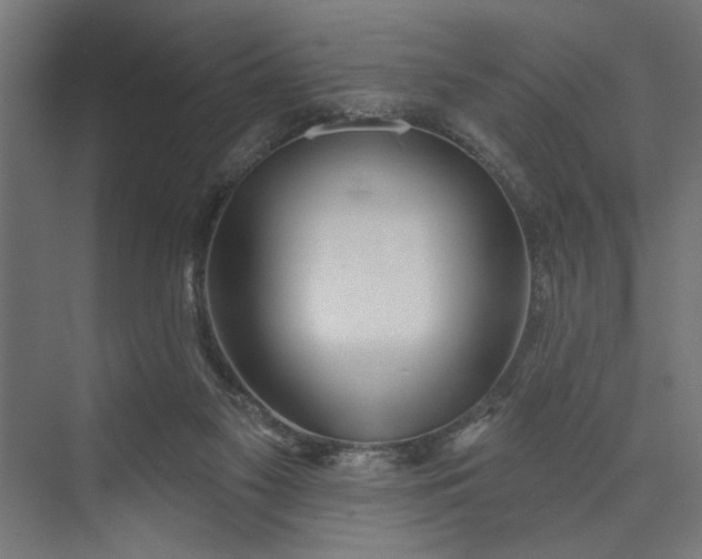 X0000073850117200608241053