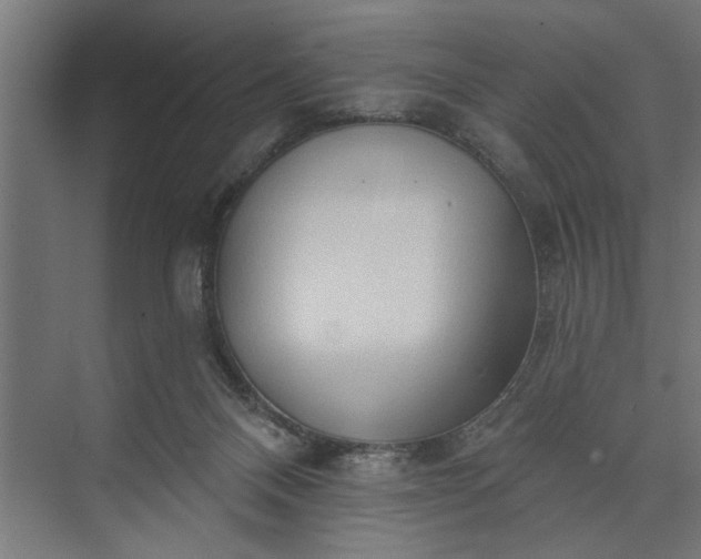 X0000073850120200608241053