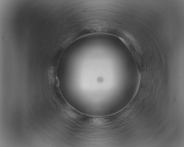 X0000073850121200608241053