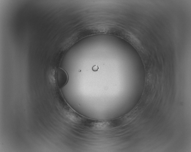 X0000073850122200608241053