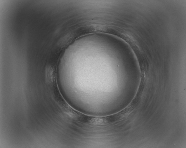 X0000073850123200608241052