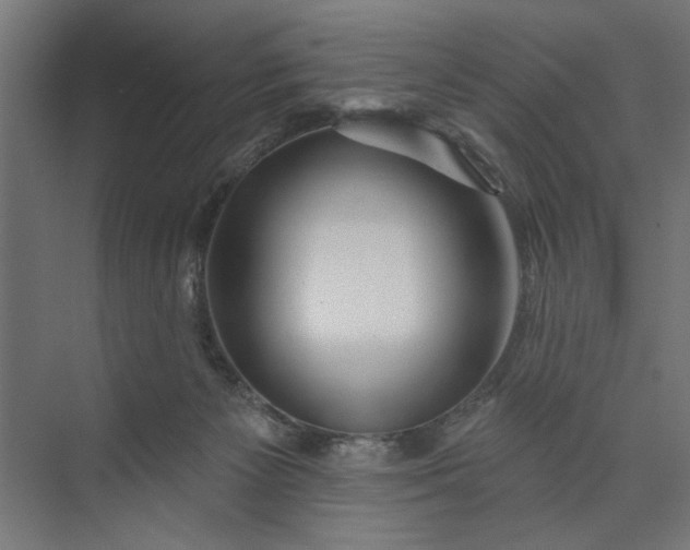 X0000073850125200608241052