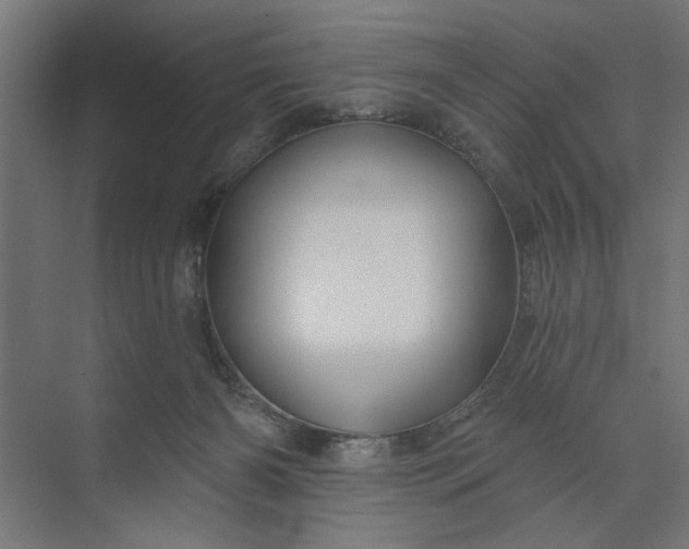 X0000073850126200608241052