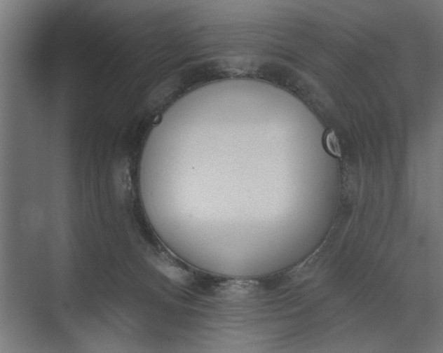 X0000073850128200608241052